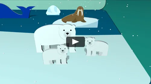 Go to the video "Arctic Animals"